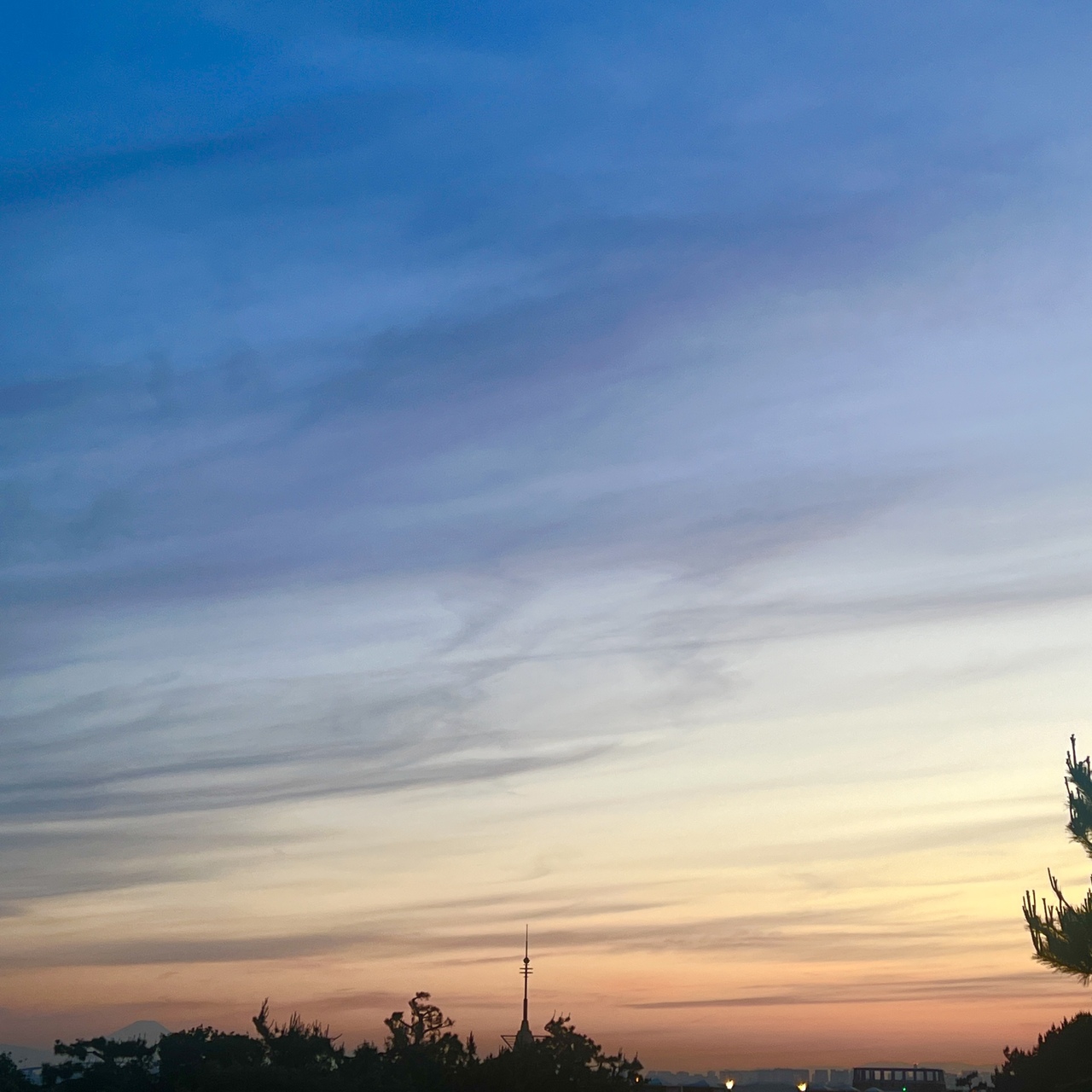 遠藤 光莉｜#135  9th Single（2024-05-22）