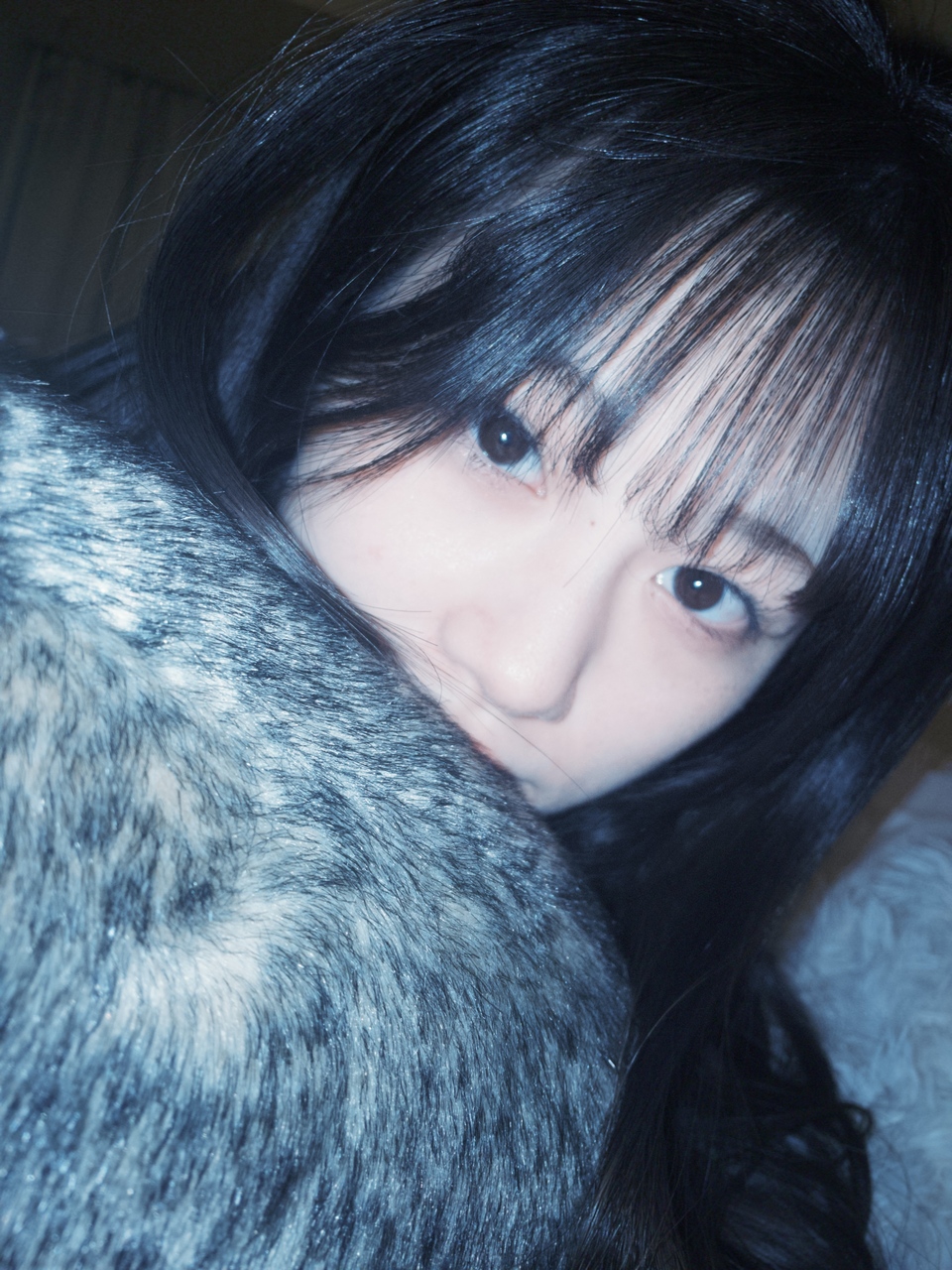 向井 純葉｜お誕生日プレゼントにサルのぬいぐるみを2つ貰ったのですが、届いた時に2人が抱き合ってる形で我が家へ来てくれて心が温かくなりました。長旅お疲れ様。（2024-05-29）