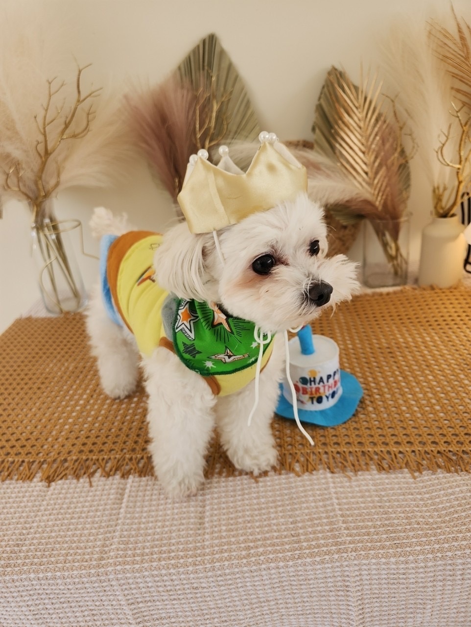 田村 保乃｜よいしょっと（2024-06-11）