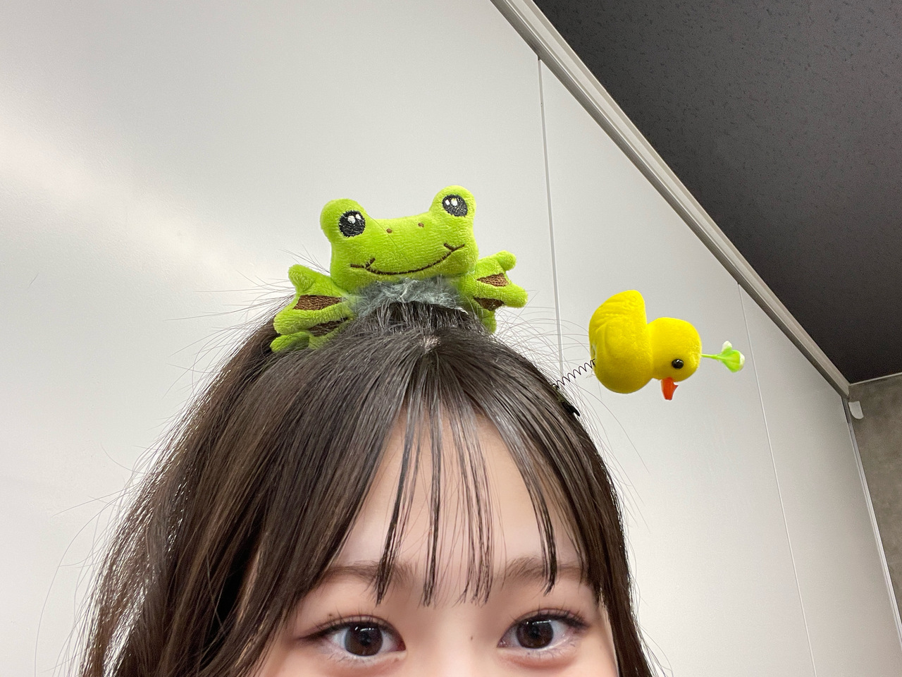 向井 純葉｜りぼんの指輪（2024-07-11）