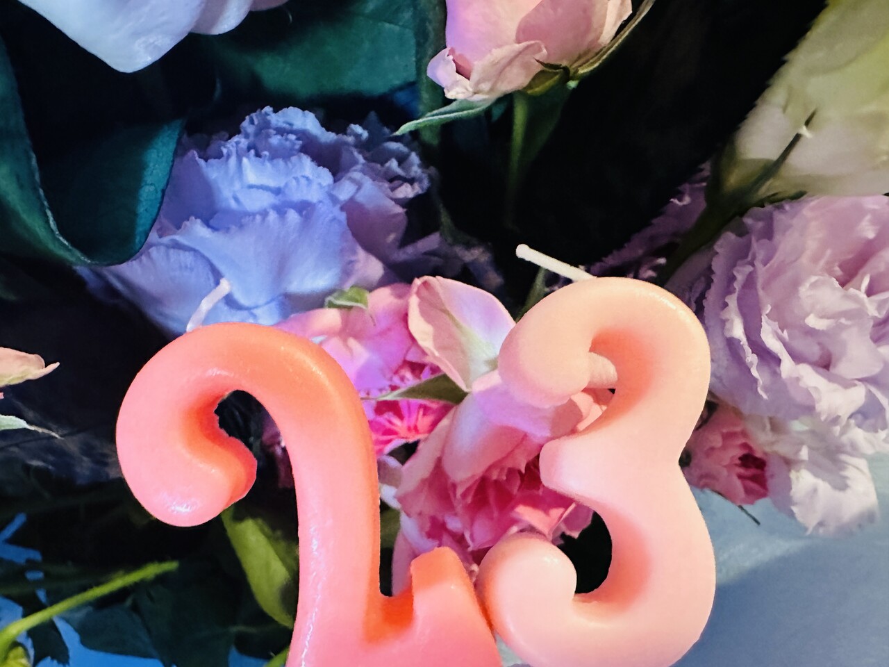 森田 ひかる｜23（2024-07-19）