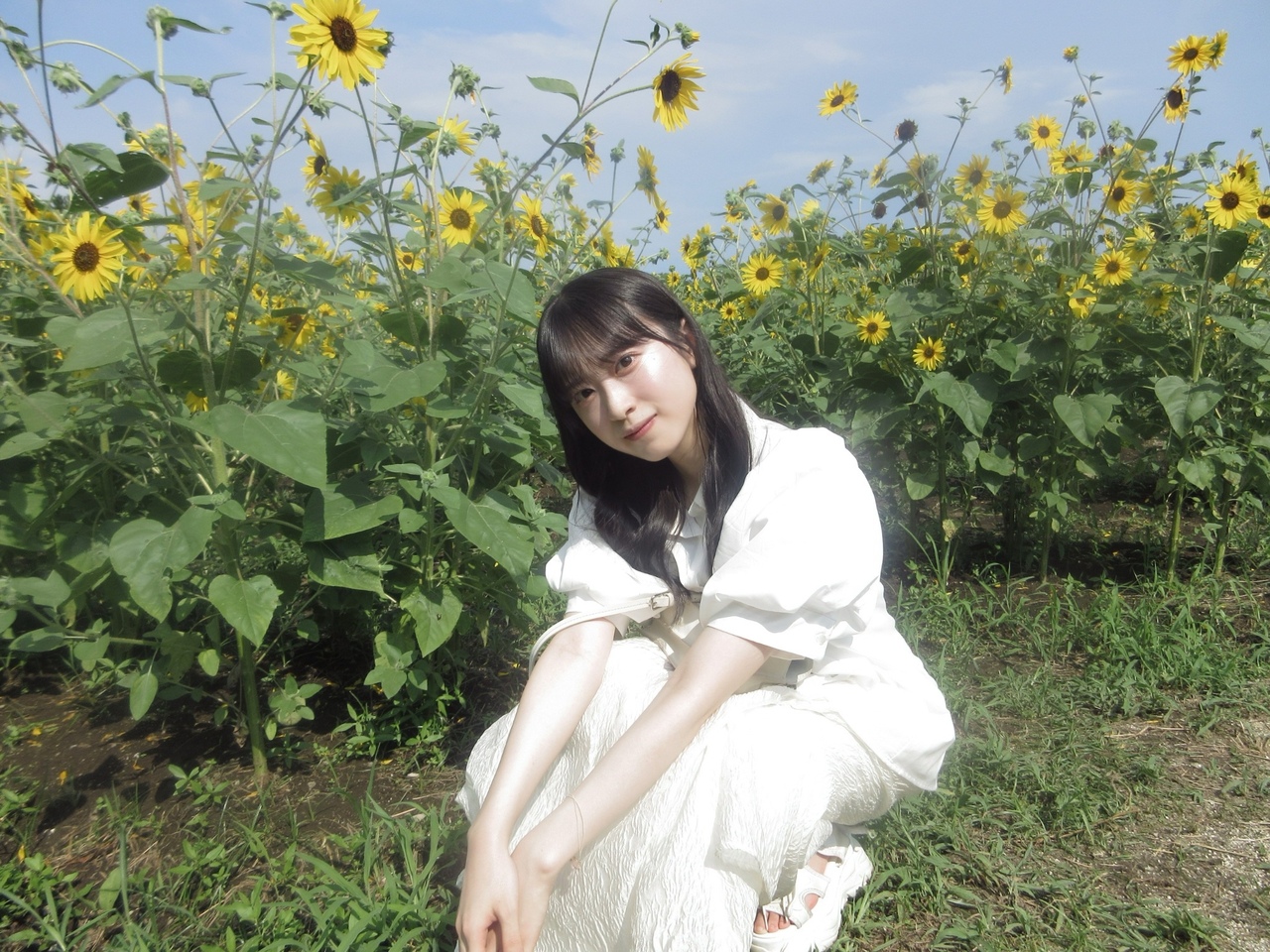 村井 優｜向日葵（2024-08-10）