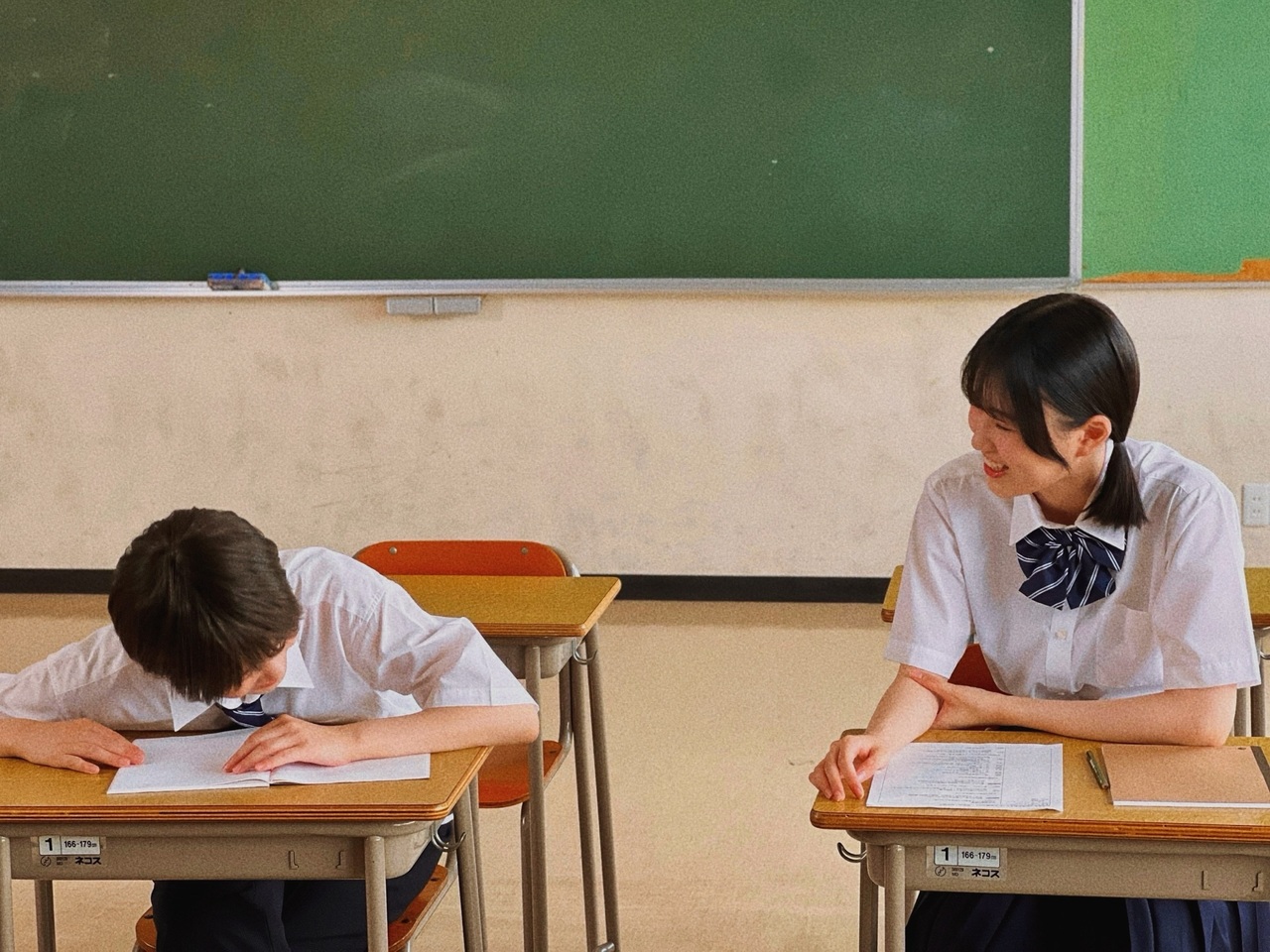 的野 美青｜（2024-08-26）