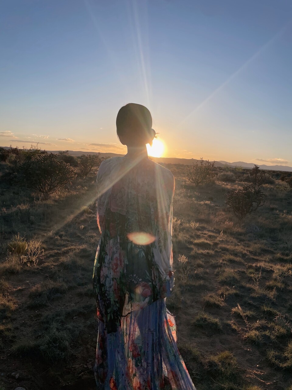 田村 保乃｜荒野（2024-08-29）