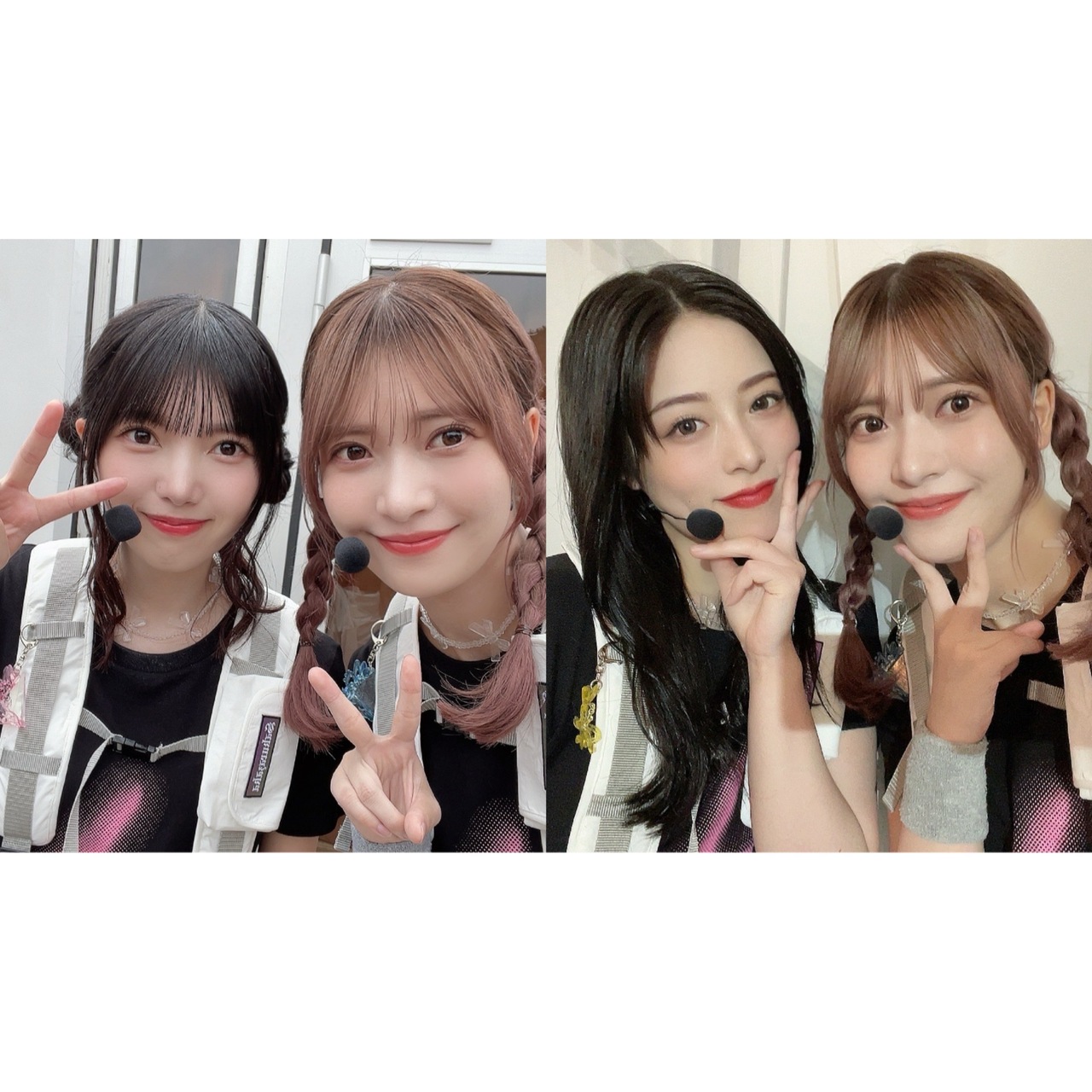 大沼 晶保｜四つ葉のクローバー（2024-09-22）