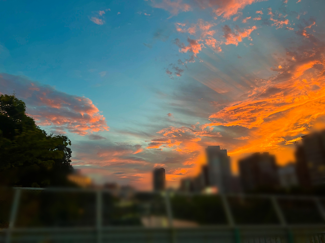 遠藤 光莉｜#164.  十枚目（2024-09-23）