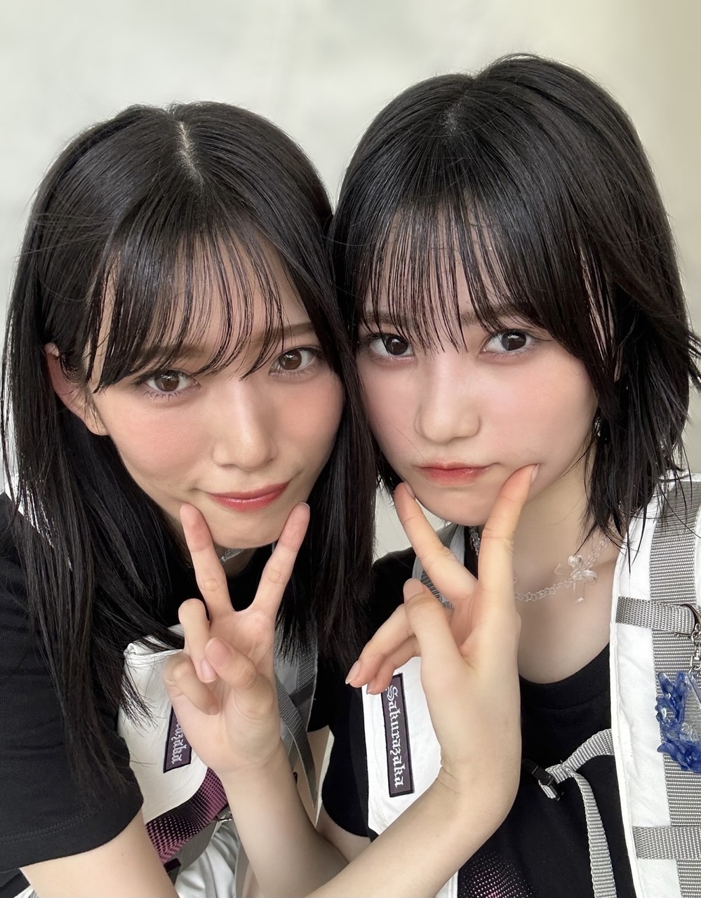 的野 美青｜（2024-09-25）