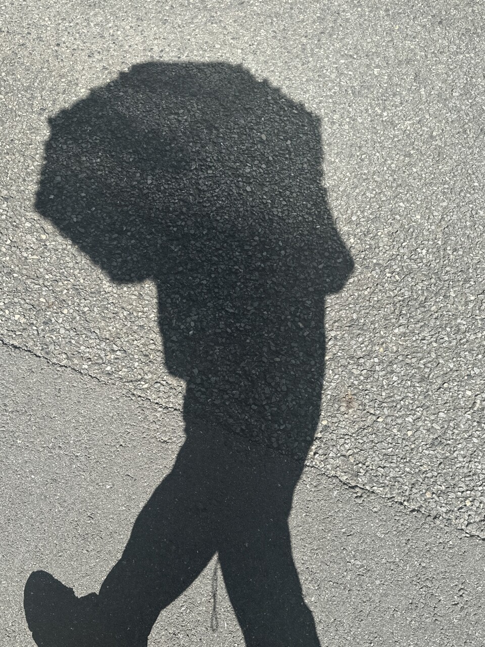 田村 保乃｜あと10日（2024-10-12）