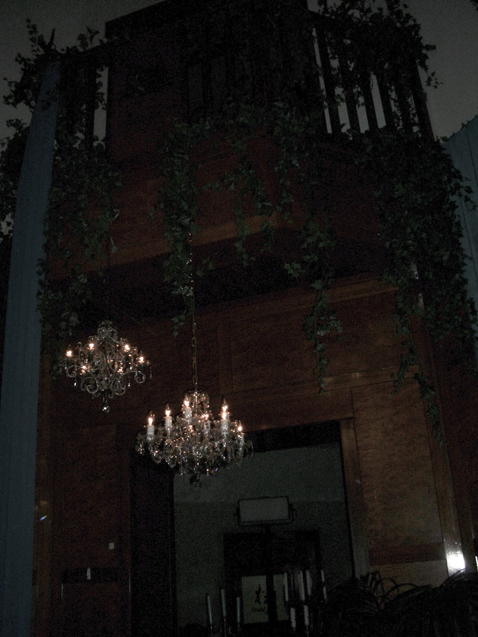 向井 純葉｜甘く苦い痛みを抱えていつしか忘れているふりをする（2024-10-20）