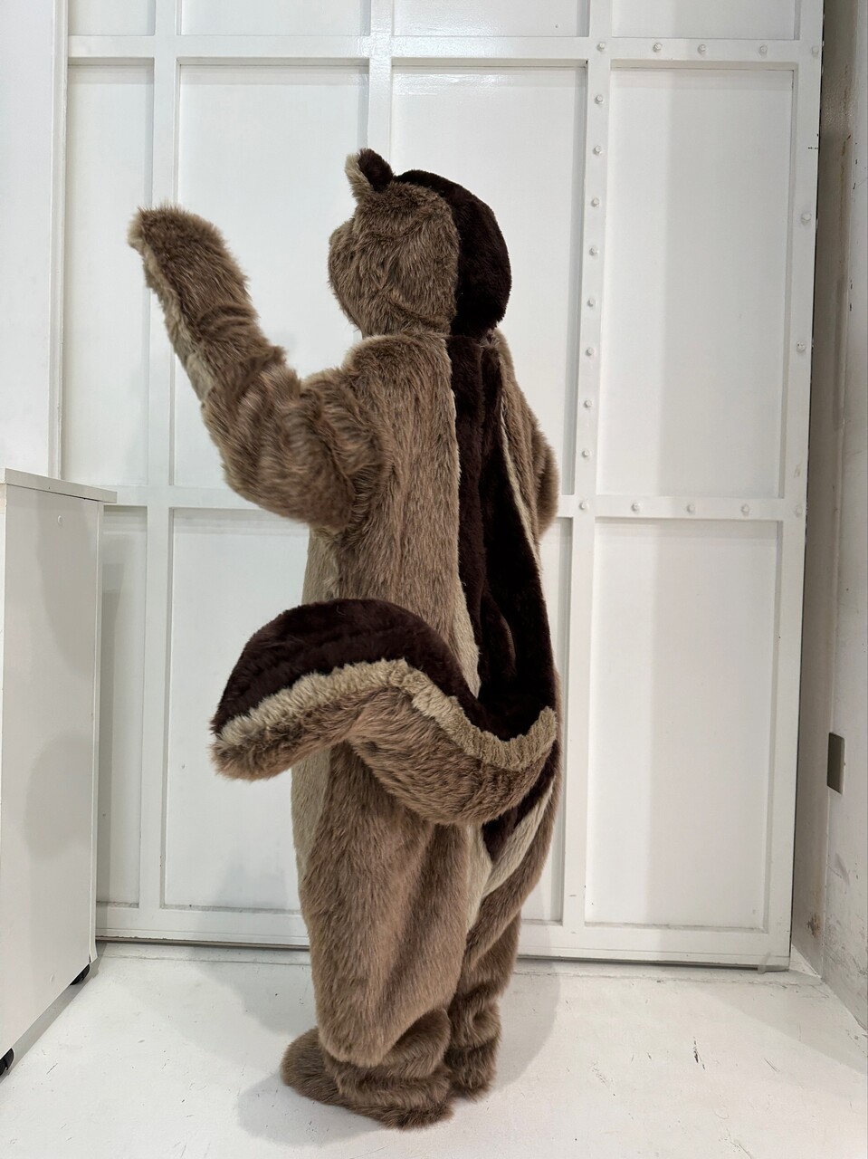 森田 ひかる｜ライブ前は楽曲をたくさん聴いて行くタイプですか？それともあえて聴かないで行くタイプですか？（2024-11-23）