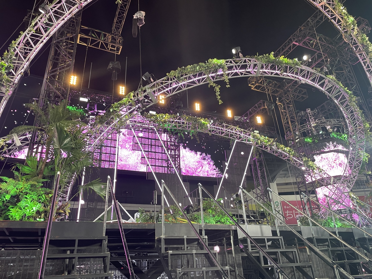 向井 純葉｜出会えてよかった（2024-12-03）