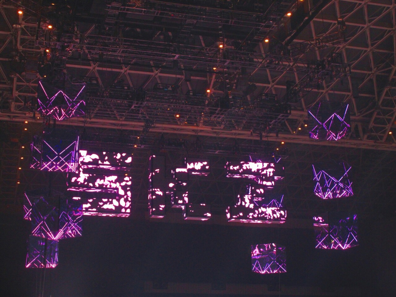 森田 ひかる｜2024（2024-12-31）