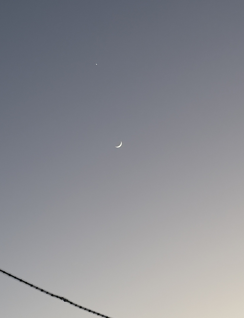 谷口 愛季｜🌙（2025-01-11）