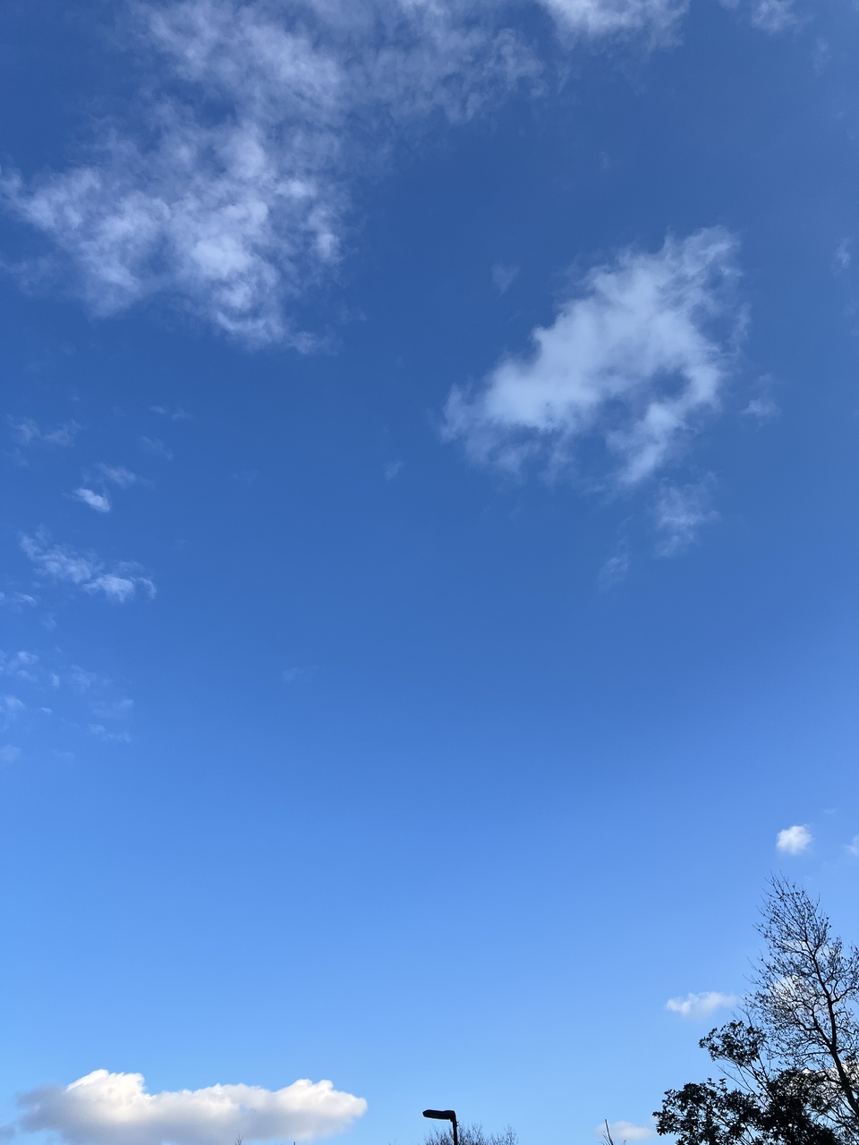 遠藤 光莉｜#204. 11（2025-01-22）