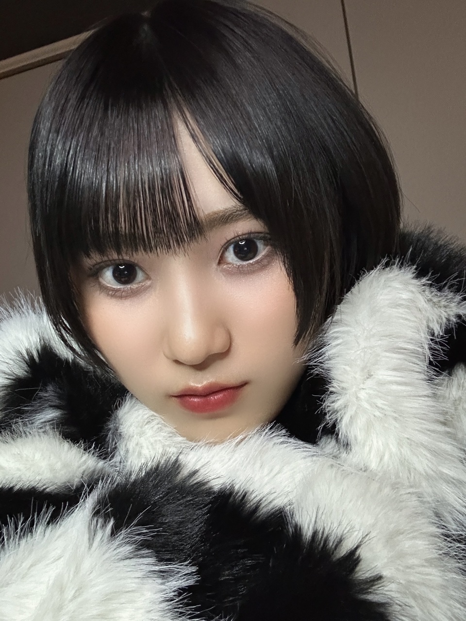 的野 美青｜（2025-01-31）