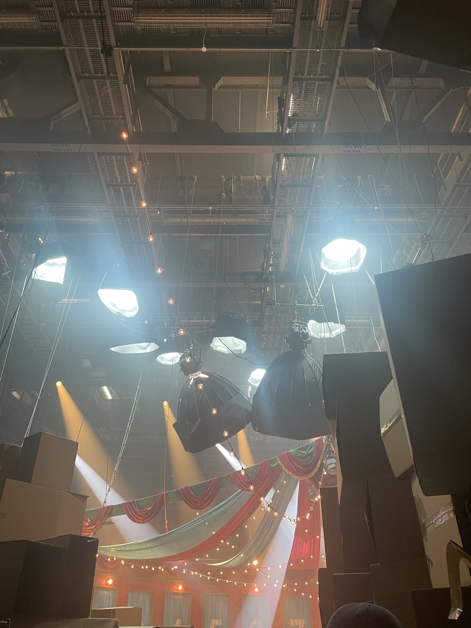 向井 純葉｜⟡.·（2025-02-15）