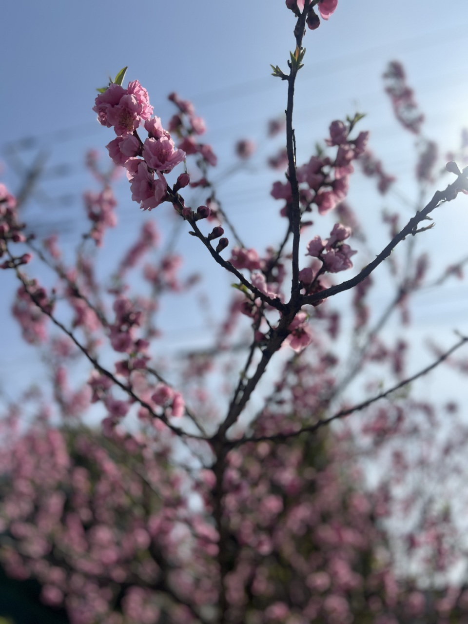 遠藤 光莉｜#225. 生きるとは変わる事（2025-03-22）