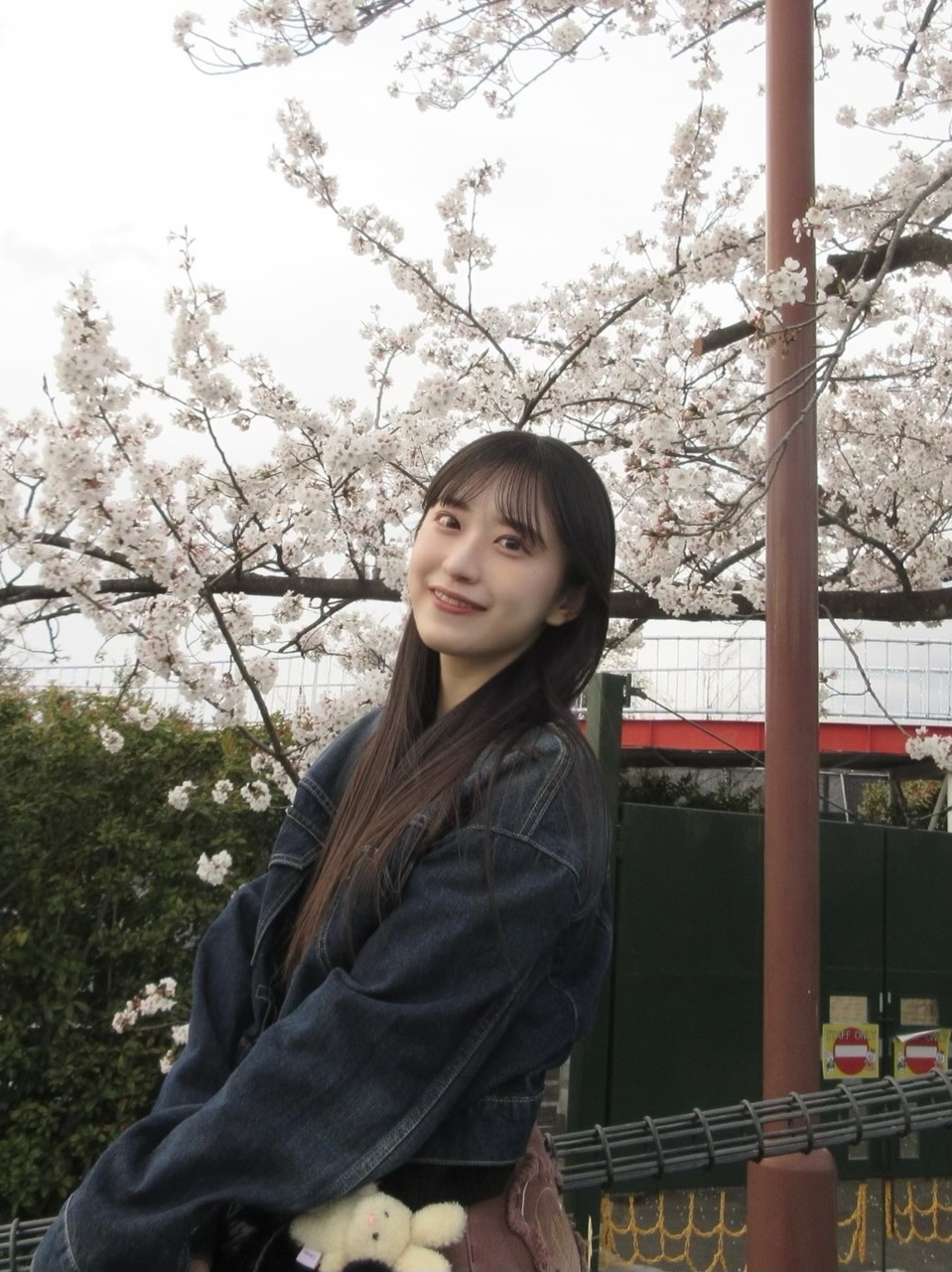 村井 優｜桜（2025-04-11）