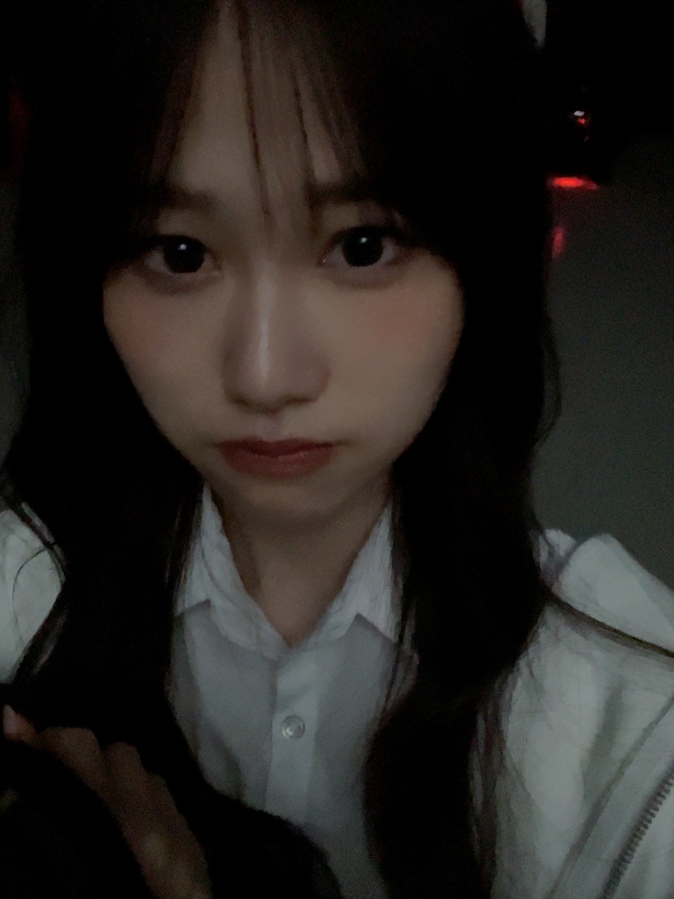 向井 純葉｜缶詰（2025-05-04）