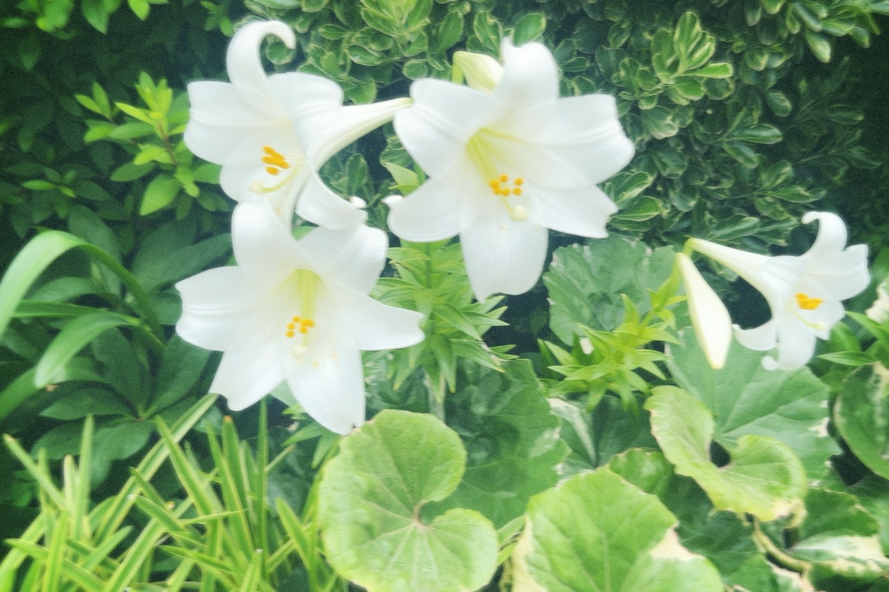 遠藤 光莉｜#287. 全力で走り抜けたら何がわかる？（2025-06-09）