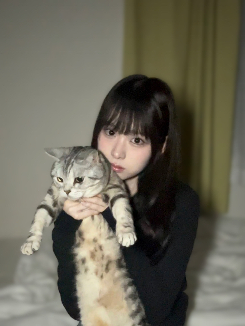 松本 和子｜ねことわんことわこ 松本和子（2025-06-30）