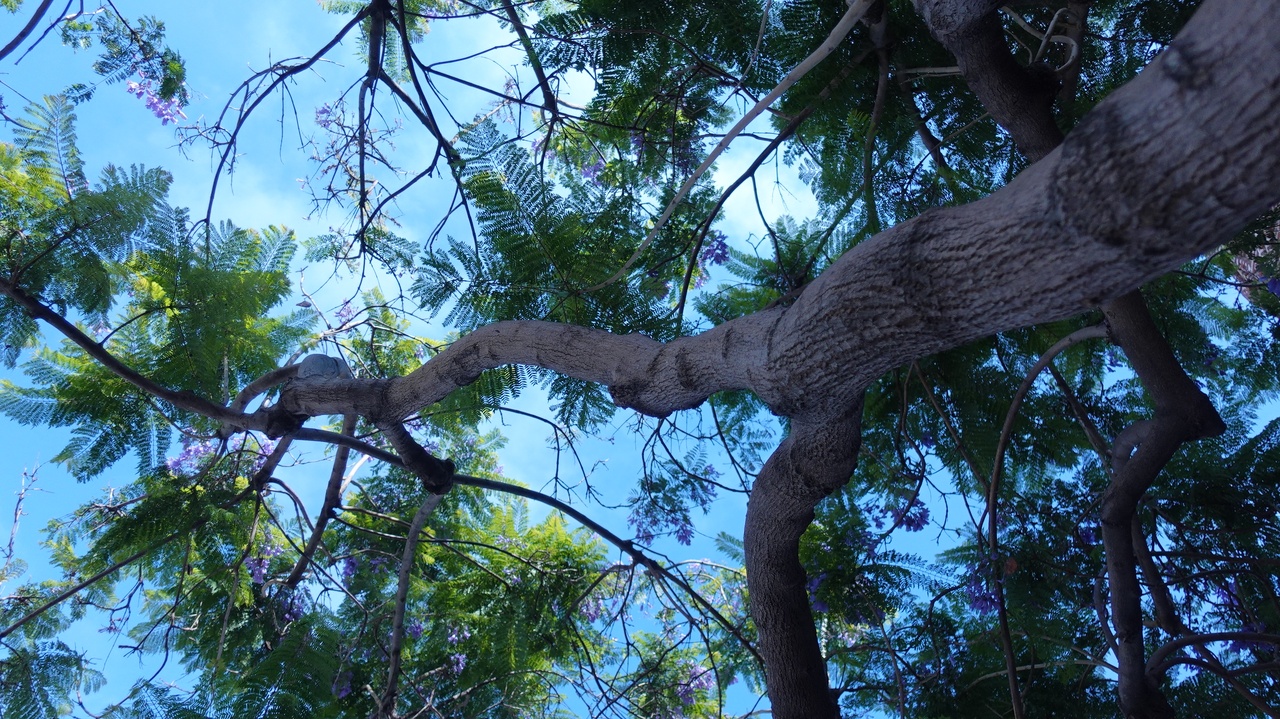 的野 美青｜（2025-07-07）｜17枚目