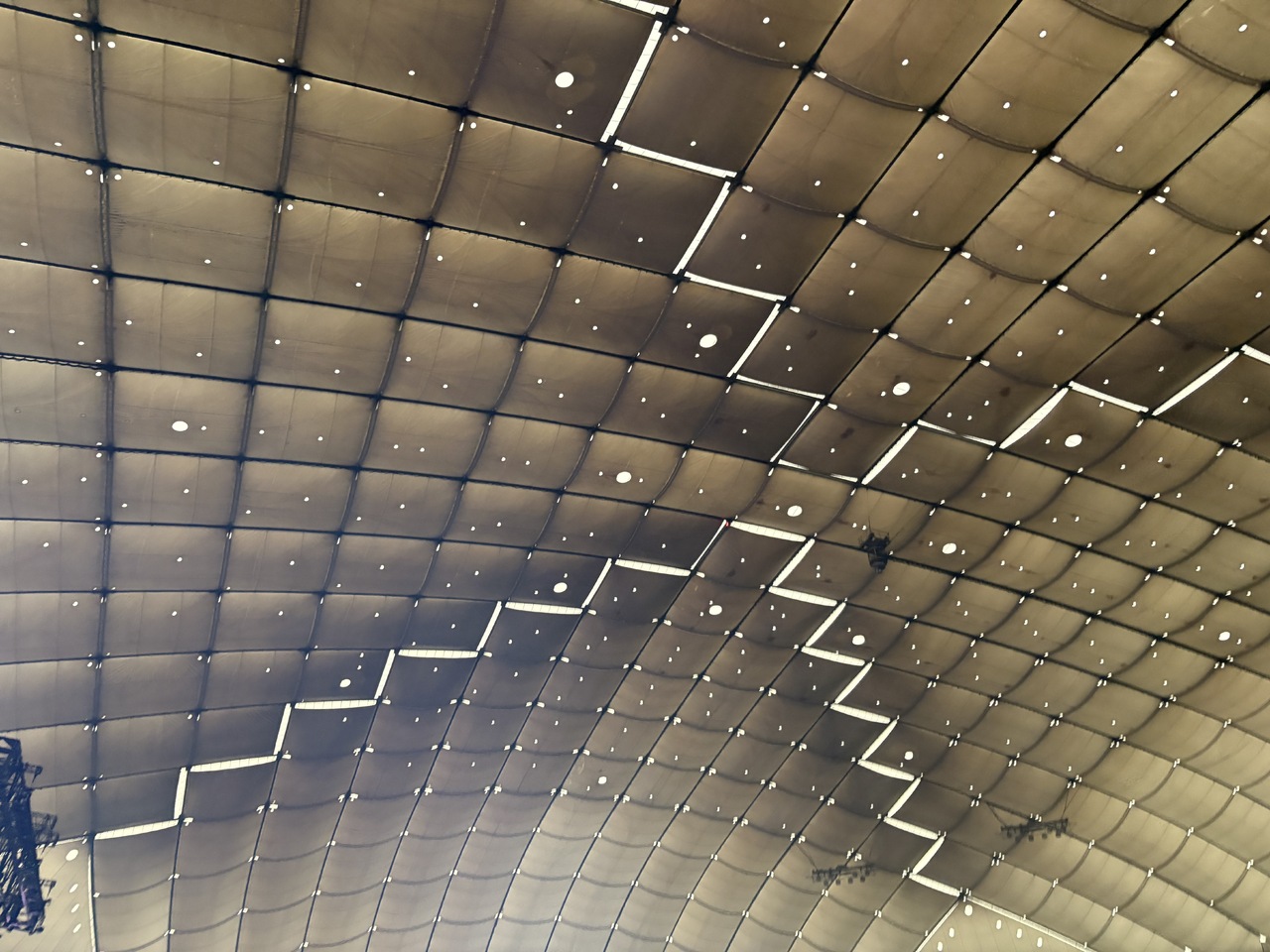 向井 純葉｜だからこれはきっと、恋（2025-07-28）