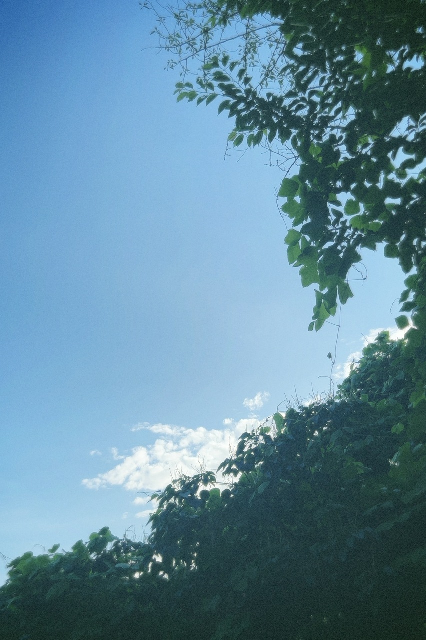 遠藤 光莉｜#330. 13枚目シングル情報たくさん発表されたよ〜🦋（2025-09-23）