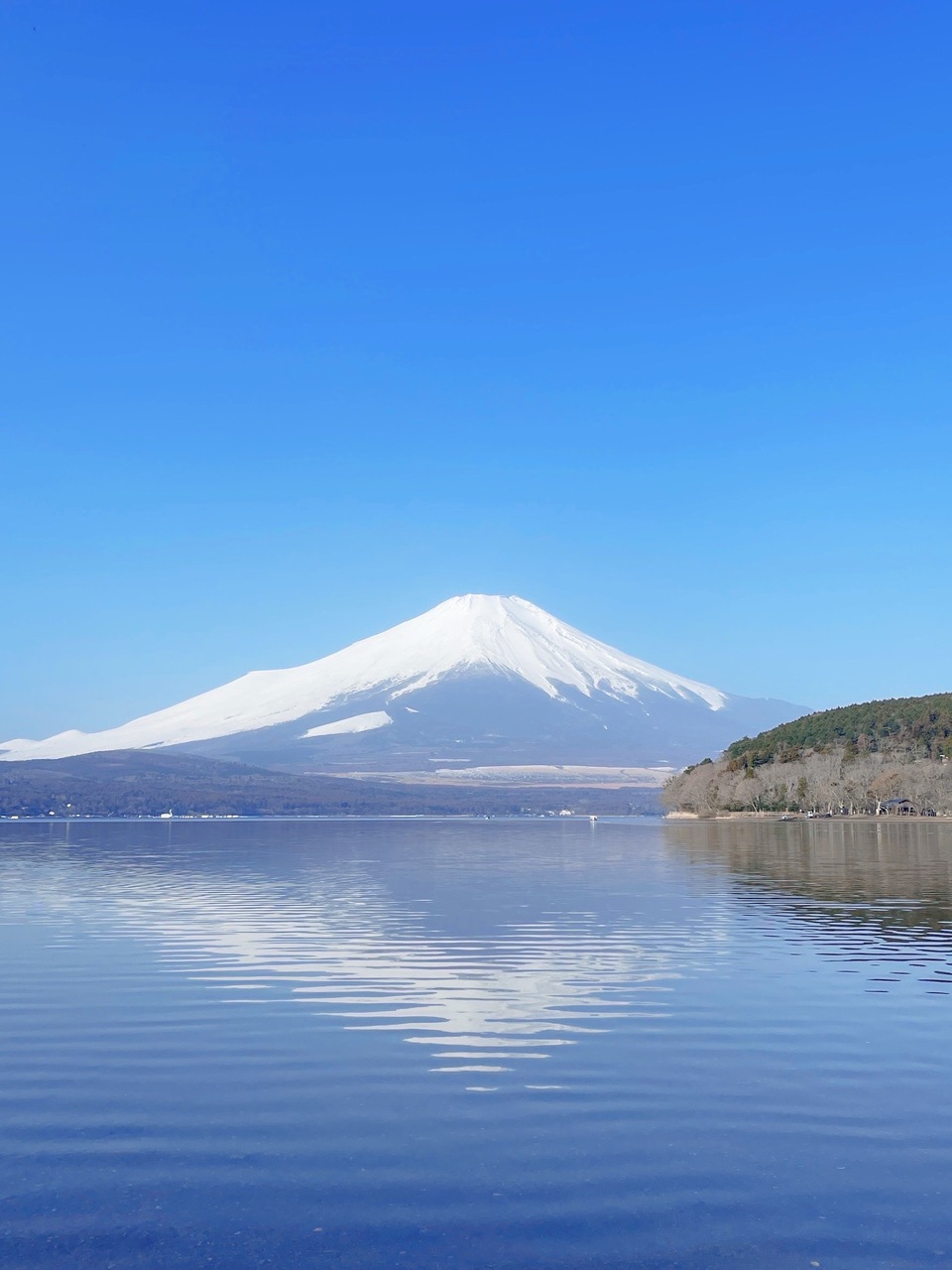 佐藤 愛桜｜蘇る思い出（2025-10-10）｜4枚目