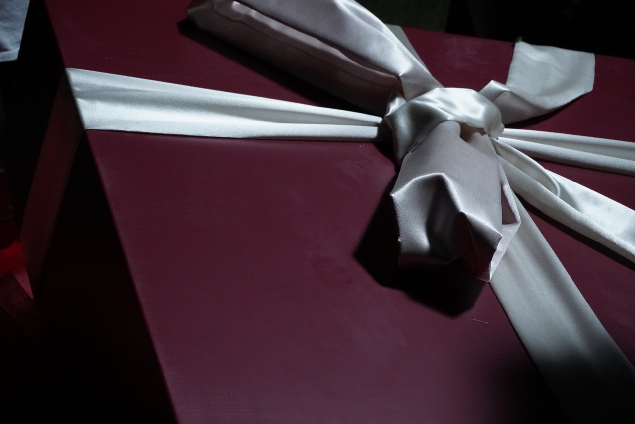 向井 純葉｜詩想（2025-10-18）