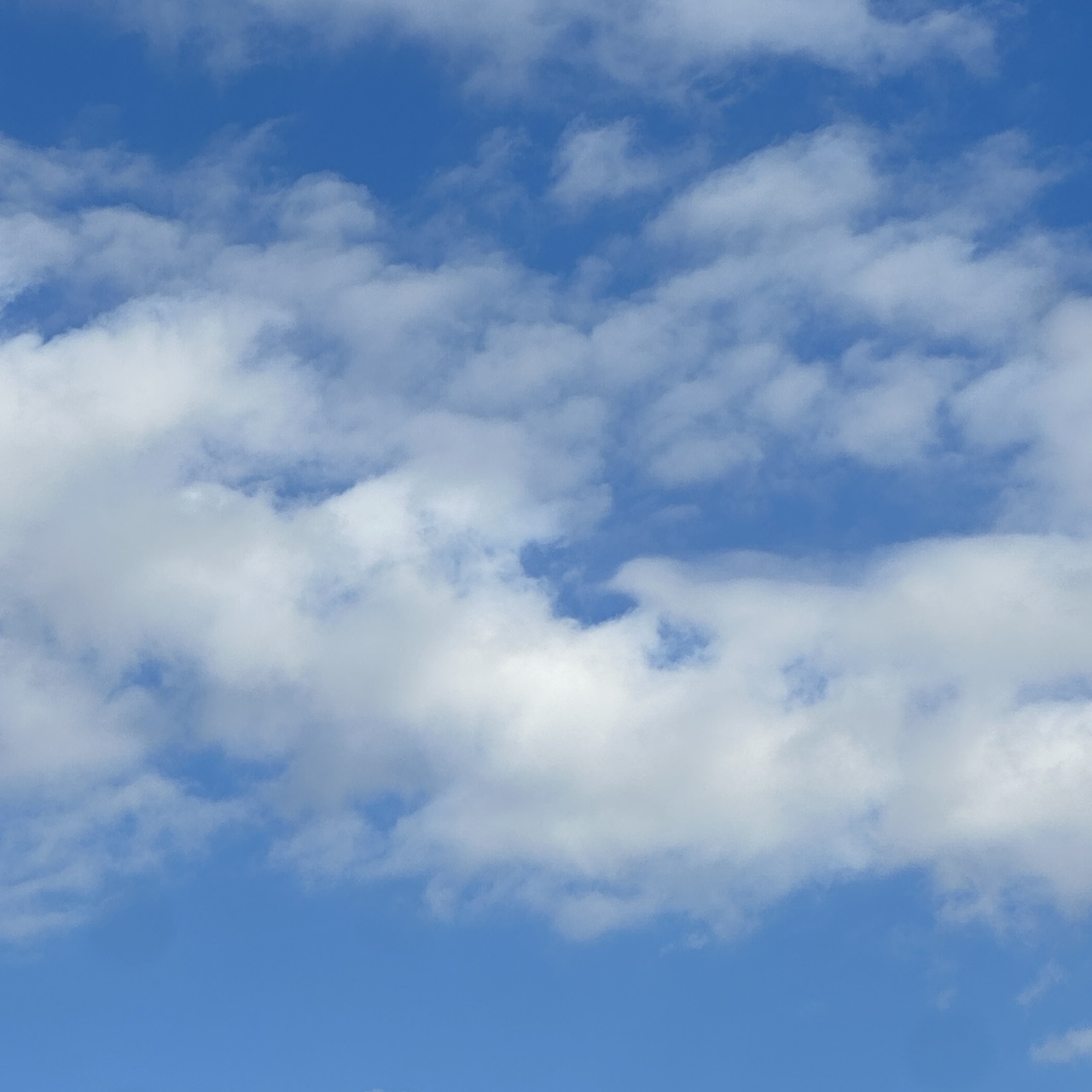 松田 里奈｜#355 日曜の空☀️（2025-11-16）