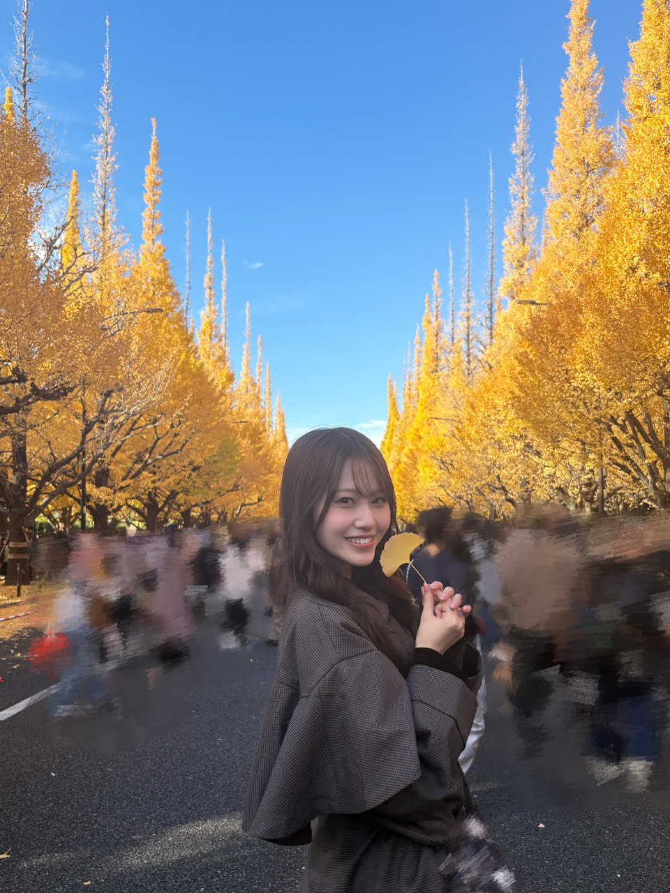 向井 純葉｜生きた化石（2025-11-25）