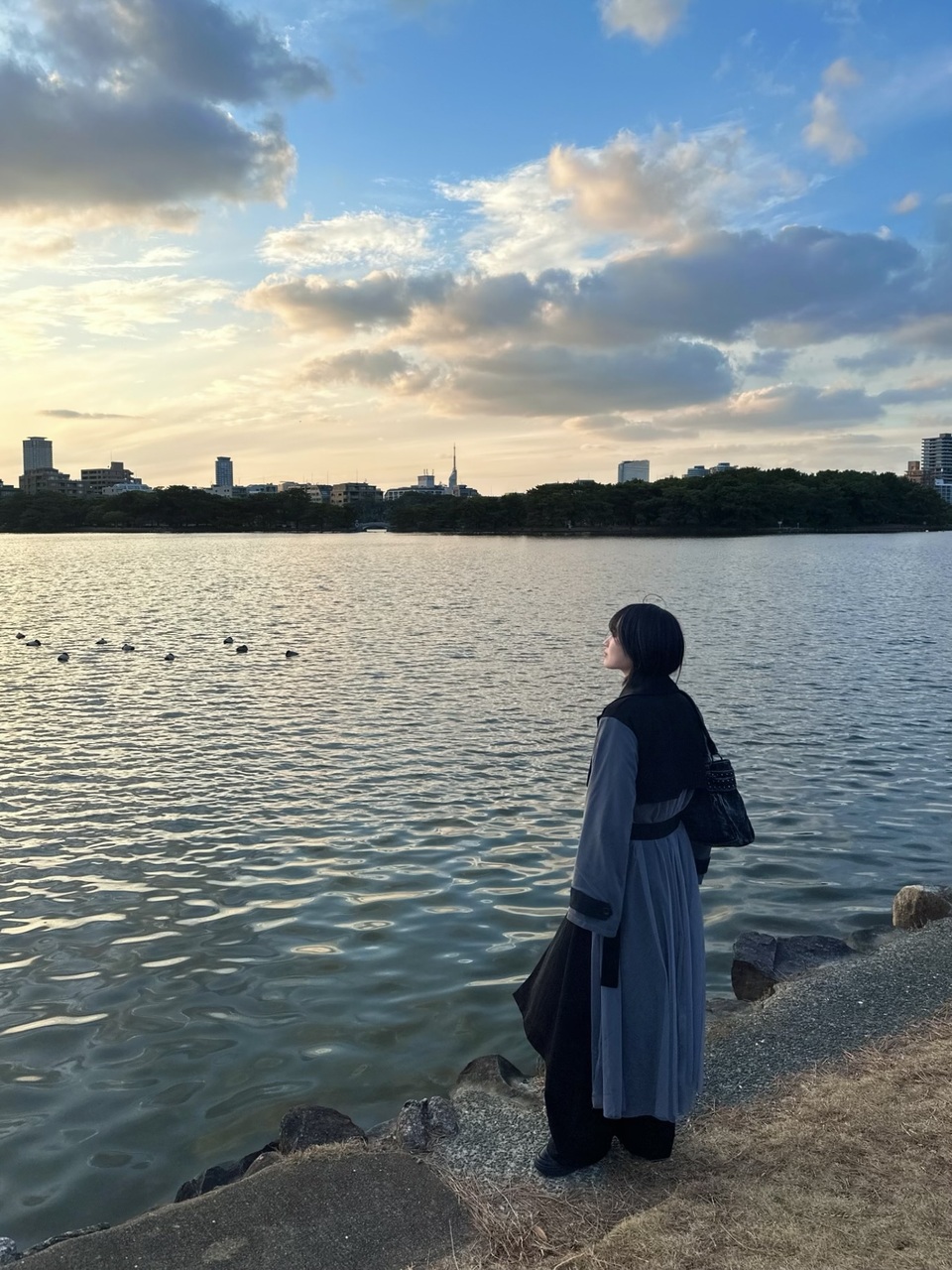 的野 美青｜（2026-01-11）