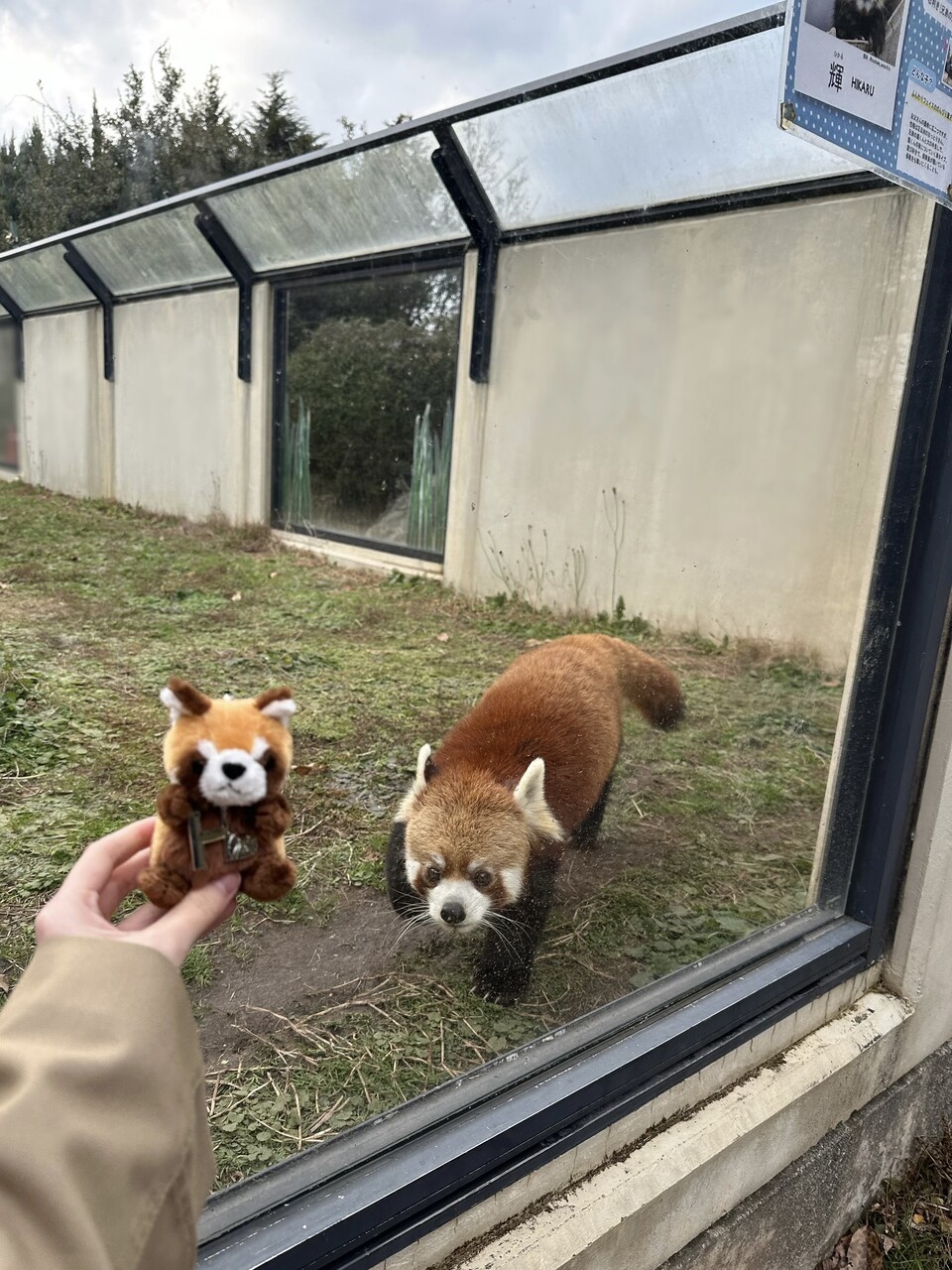 森田 ひかる｜→2026（2026-01-24）