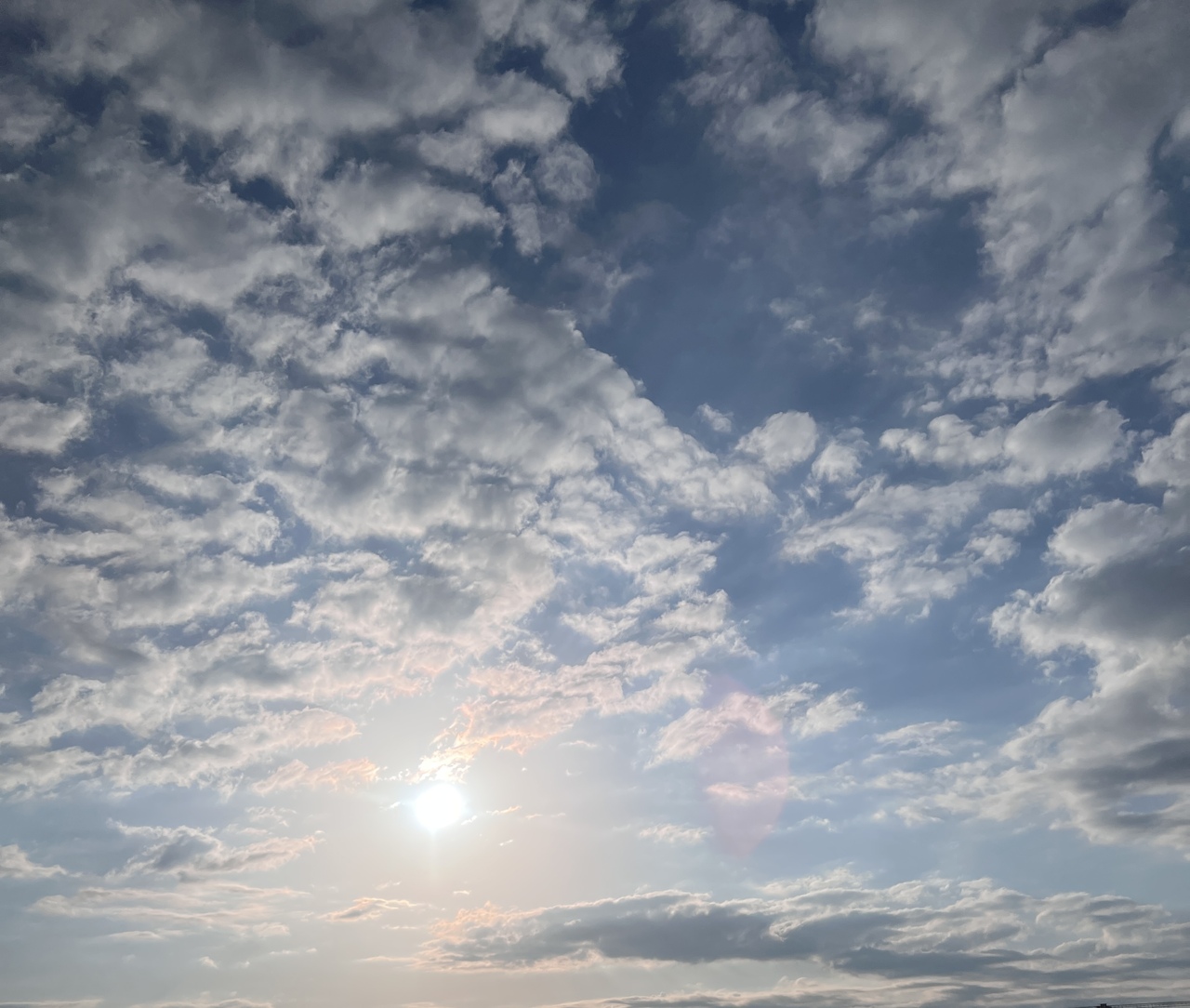 遠藤 光莉｜#368. 心のなか（2026-02-02）