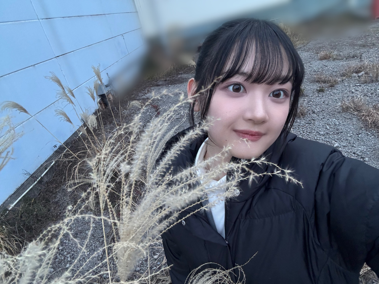 目黒 陽色｜🌟　目黒陽色（2026-03-08）