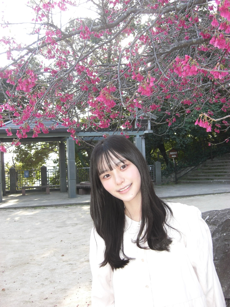 中川 智尋｜あの頃の僕らの恋のようだ（2026-03-17）