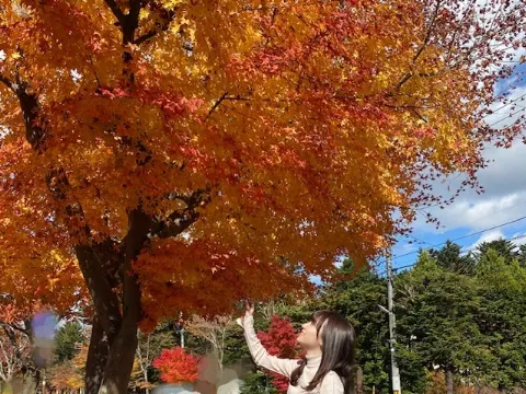 守屋 麗奈｜かえでとさくら（2020-11-08）｜2枚目