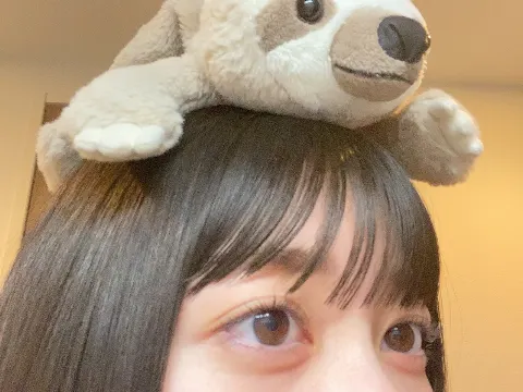 幸阪 茉里乃｜お気に入りのナマケモノちゃんです🦥（2020-11-12）