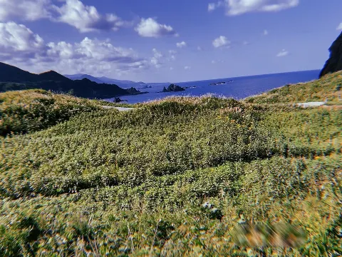 松田 里奈｜綺麗な景色（2020-11-14）｜5枚目