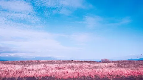 山﨑 天｜2nd（2021-04-14）｜7枚目
