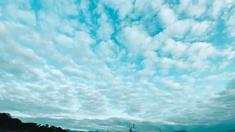 山﨑 天｜思ったよりも寂しくない（2021-05-04）｜12枚目