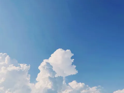 田村 保乃｜紅（2021-09-14）｜6枚目