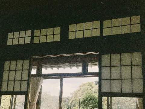 田村 保乃｜たこ（2021-10-11）｜6枚目