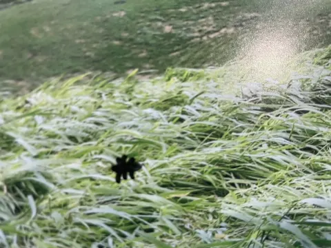 増本 綺良｜流れ弾（2021-10-13）｜3枚目