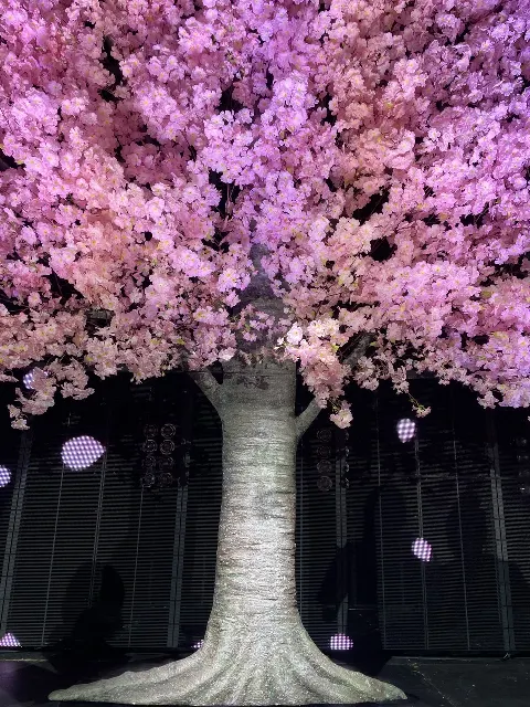 守屋 麗奈｜1st TOUR（2021-11-02）