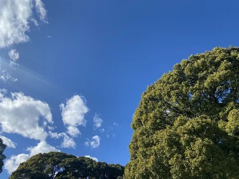 田村 保乃｜カラフル（2021-12-27）｜5枚目