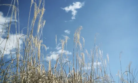 松田 里奈｜「五月雨よ」MV☔️（2022-03-19）