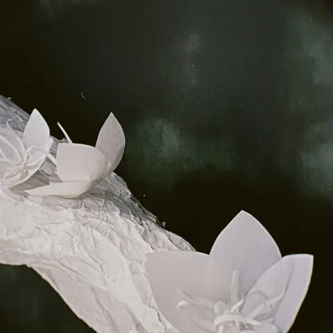 藤吉 夏鈴｜（2022-04-06）｜2枚目