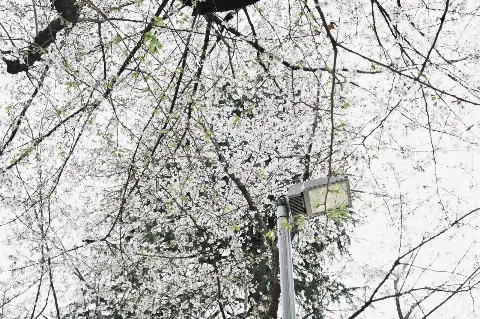 森田 ひかる｜元気だった〜。笑（2022-04-17）